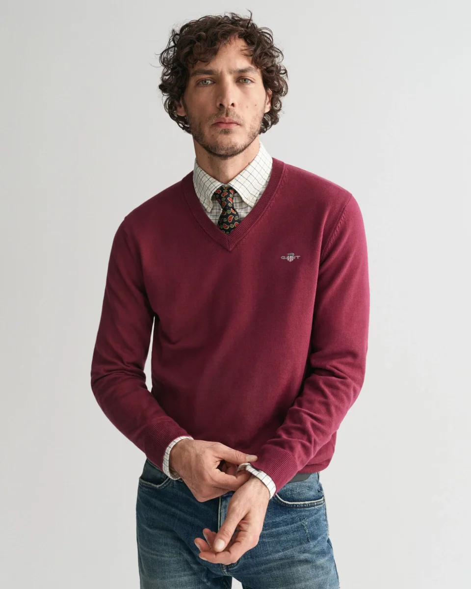 Cotton V-Neck Sweater in Wine